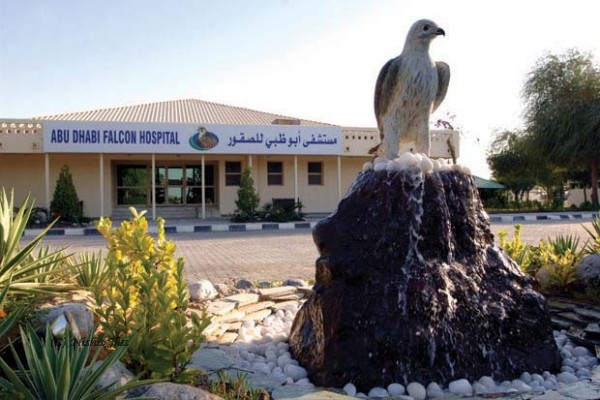 abu dhabi falcon hospital @lemonicks.com