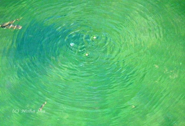 bubbling lake goa @lemonicks.com