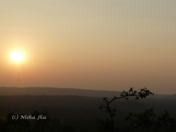 sunset kanha wildlife @lemonicks.com