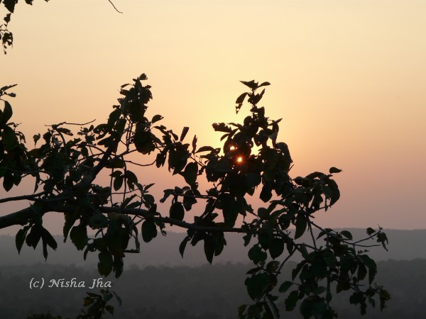 quiet evening kanha sunset wildlife @lemonicks.com