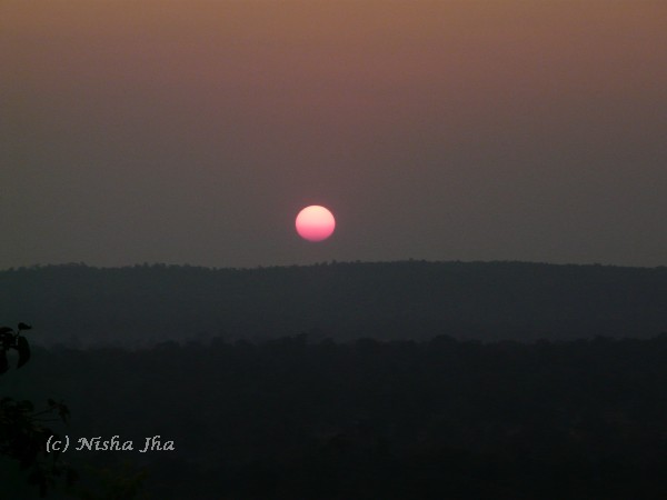 sunset kanha wildlife @lemonicks.com