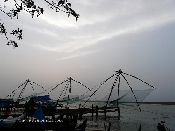 kerala chinese fishing net @lemonicks.com