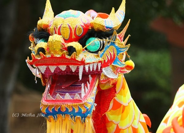 chinese new year dragon @lemonicks.com