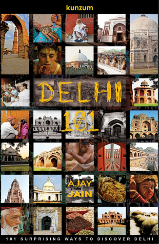 delhi 101 review at lemonicks.com