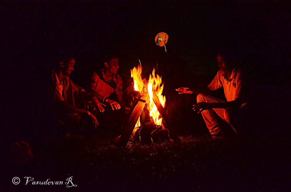 campfire binsar