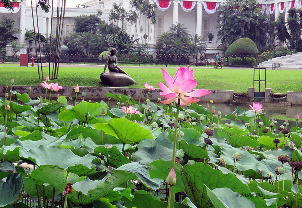 places to visit in jakarta: bogor garden