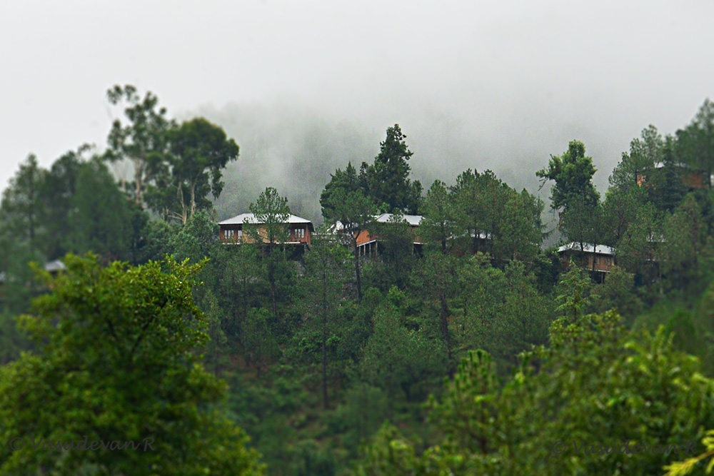 A view of Club Mahindra , Binsar Villa