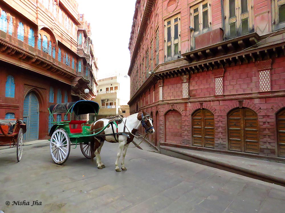 Top Indian Couple Blog by Nisha Jha and Vasudevan R - Top 15 Things to do in Bikaner