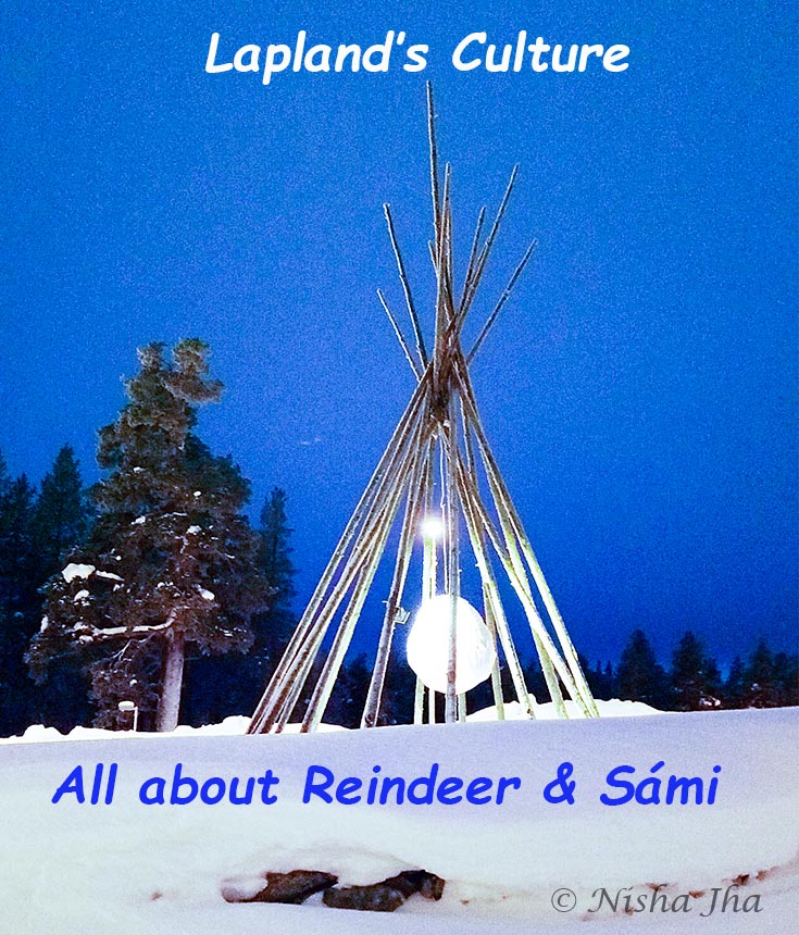 Top Indian Couple Blog by Nisha Jha and Vasudevan R - Lapland’s Tribal Culture: Reindeer & Sami