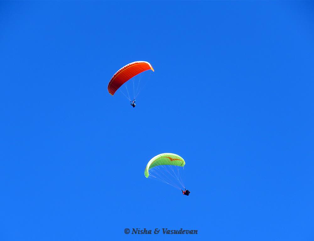 paragliding in austria @lemonicks.com