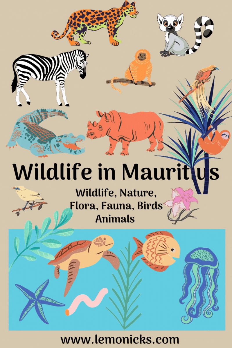 Wildlife in Mauritius | wildlife nature | mauritius | lemonicks