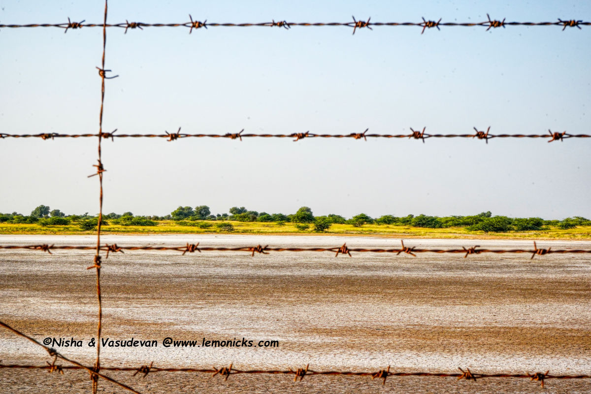 Nadabet Indo-Pakistan border Kutch Gujarat Barbed wire fence