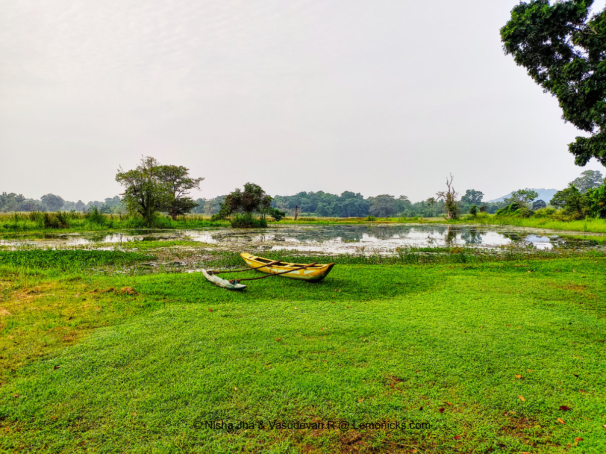 pond in jetwing lake hotel dambulla