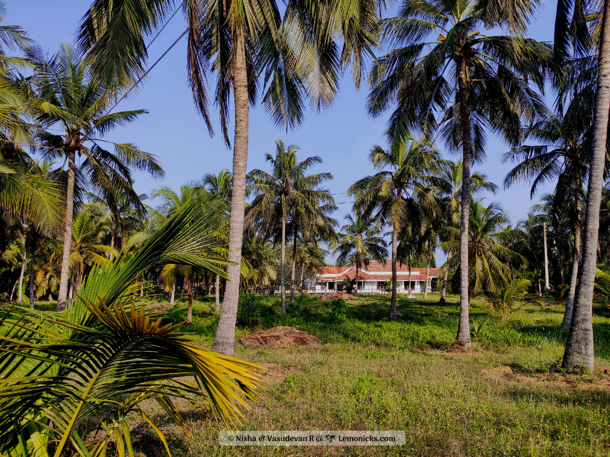 Where to to stay in Negombo Sri Lanka Hotels and resorts along the beach
