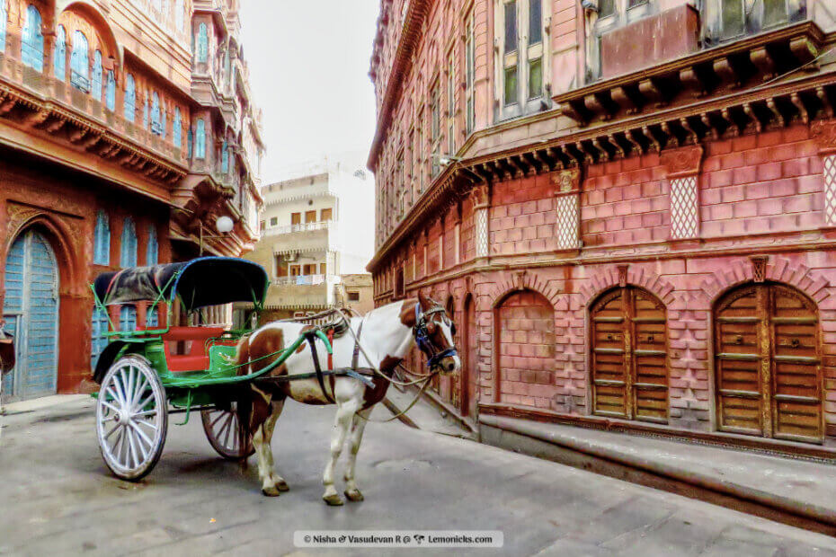 Top Indian Couple Blog by Nisha Jha and Vasudevan R - Top 15 Things to do in Bikaner