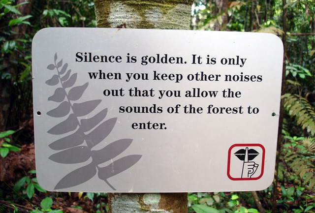 jungle safari dos and don'ts: keep silence