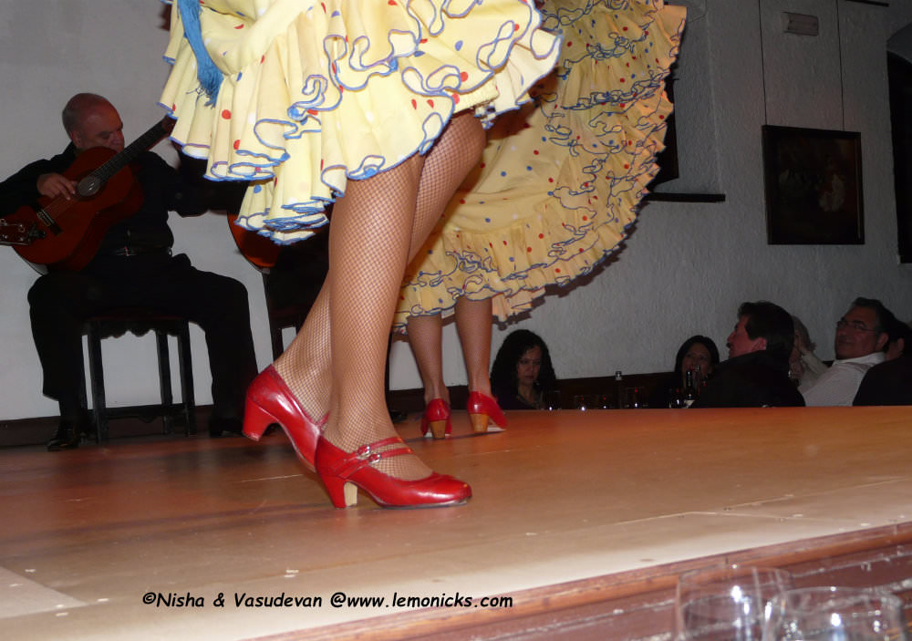 baile flamenco @www.lemonicks.com